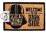 1art1 Star Wars Door Mat Floor Mat - Darth Vader, Welcome to The Dark Side (24 x 16 inches)