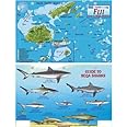 Fiji Map & Guide to Beqa Sharks Franko Maps Laminated Fish Card
