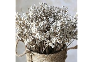 ESLIBIN 220g Tallow Berries Dried Christmas Decor- 17" Natural Stem Wedding Floral Decor, White Holly Tallow Berries, 2 Bundles Dried Flower Billy Balls, Button Plant, Willow Branches, Wreath DIY Handicraft