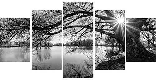 Amazon.com: DIY 5D Full Diamond Painting Kit, Black and White Tree Lake