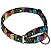 CollarDirect Martingale Collars for Dogs Heavy Duty Floral Pattern Female Safety Nylon Training Wide Collar Flower Design Large Medium (M, Neck Size 12″-17″, Black)thumb 1