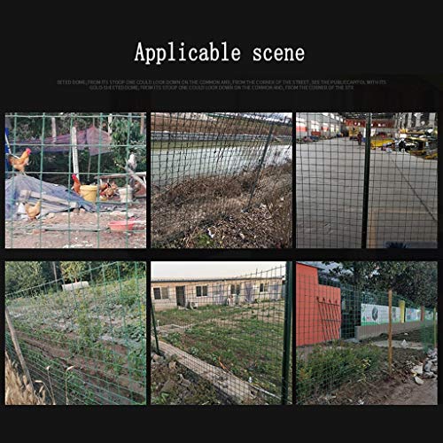 BBGS PVC Beschichtet Drahtgitterzaun, 1,2 M Höhe Hardware-Stoff, SchweiÃdrahtkäfig Hühnerzaun, für Kaninchenhaus, Ente, Gemüsegarten (Color : 2.3mm Wire Diameter) – Bild 5