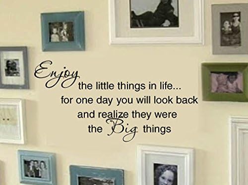 FAMILY Enjoy the little things in life Picture Wall Display Home VInyl Wall Lettering Words Decal 26wx13h