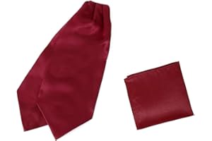 Dan Smith Solid Party Day Cravat Feel Silk Cravat Tie Ascot Assorted Pack Plain