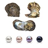 Saltwater Pearl Oyster, 4 PCS Love Wish Saltwater Akoya Pearl Oyster 6-7mm Pearl Inside for Jewelry Making or Birthday Gifts