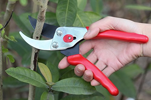 Bikain Bypass Pruning Shears With Silicone Holster - Professional Gardening Scissors For Plants & Flowers