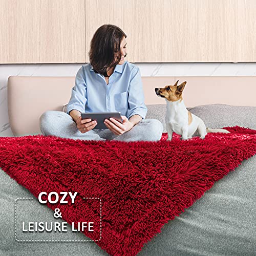 Pawque Decorative Soft Fluffy Faux Fur Throw Blanket 60\