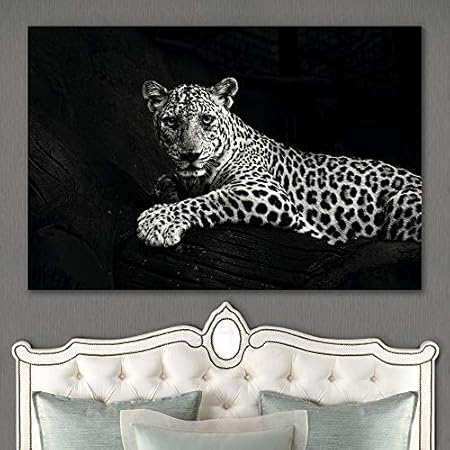 Amazon.com: Sign Leader Black and White Leopard Canvas Wall Art Wild
