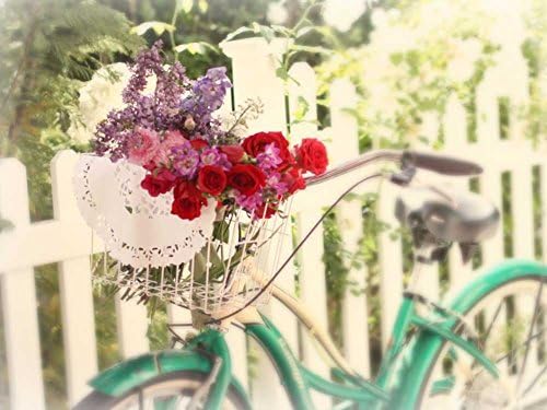 Flower Bike -Oil Painting On Canvas Modern Wall Art Pictures For Home Decoration Wooden Framed (20X16 Inch, Framed)