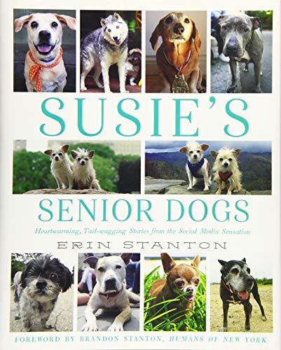 Susie's Senior Dogs (Best Friend Pet Store Virginia)