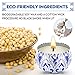 Laluztop Scented Candles Gift Set - 100% Soy Wax Portable Travel Tin Candles, Natural Fragrance Candles for Stress Relief and Aromatherapy Candles, 6 x 2.5oz