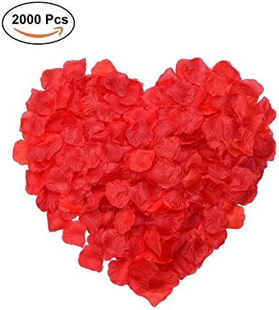 Febou Silk Rose Petals, 2000 PCS Red Artificial Rose Petals for Wedding Flower Decoration Wedding Party Favors Decoration Wedding Bridal Decoration and Vase Home Decoration (2000pcs, Red)