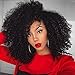 Dream Beauty Full Lace Human Hair Afro Curly Wig Short Kinky Curly 180% Virgin Remy Human Hair Wigs With Baby Hair For Black Women Pre Plucked(18 Inch, full lace wig)
