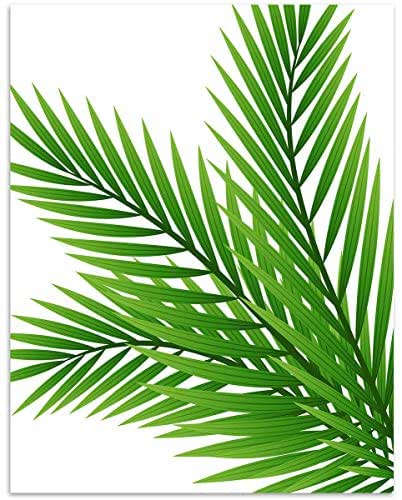 Amazoncom tropical fern leaf wall art 11x14 unframed decor print