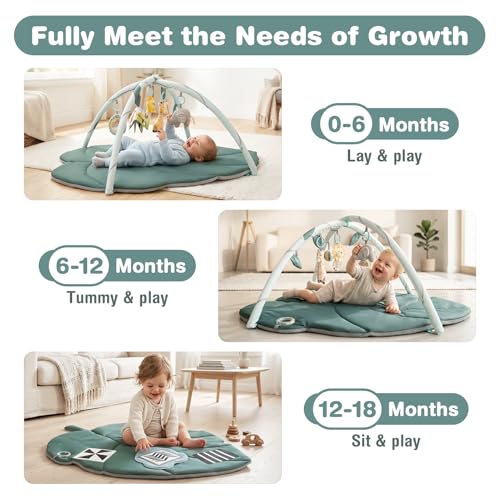 Vanplay Play Mat for Babies with 6 Toys, Crawling Mat with Play Arch and Sensory Toys, Play Mat with Baby Book High Contrast