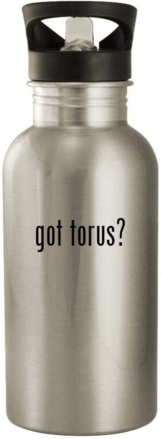 The 6 Best Torus Water Bowl Filter