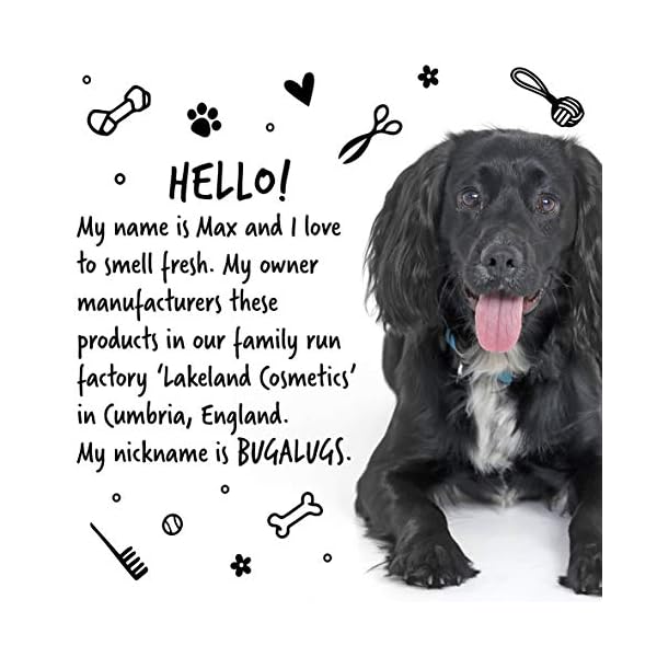 BUGALUGS-Baby-Fresh-Dog-Shampoo-500ml-dog-grooming-shampoo-products-for-smelly-dogs-with-baby-powder-scent-best-puppy-shampoo-baby-fresh-shampoo-conditioner-Vegan-pet-shampoo-professional-500ml BUGALUGS Baby Fresh Dog Shampoo 500ml dog grooming shampoo products for smelly dogs with baby powder scent, best puppy…