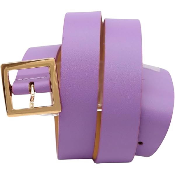 Correa De Hombro Ajustable Para Mujer Violeta, 80-130cm Correa De Reemplazo Bolso Colorida Para Mujer Con Hebilla De Oro Correa Ancha Para Bolso Para Piel, Monedero, Cruzados, 3.8cm, 1312