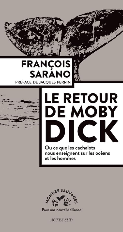 Le retour de Moby: ou ce que les cachalots nous enseignent sur les océans et les hommes