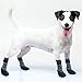 Mihachi Dog Socks Winter Paw Protectors Silicone Sole Anti-Slip Waterproof Boots,L