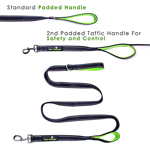 Heavy Duty Dog Leash 2 Handles Padded Traffic Handle for Extra