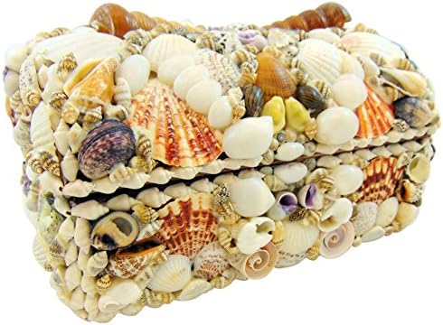 Real Natural Seashell Jewelry Trinket Box Nautical Sea Shell Beach Home Decoration Gift 10 Inches Long
