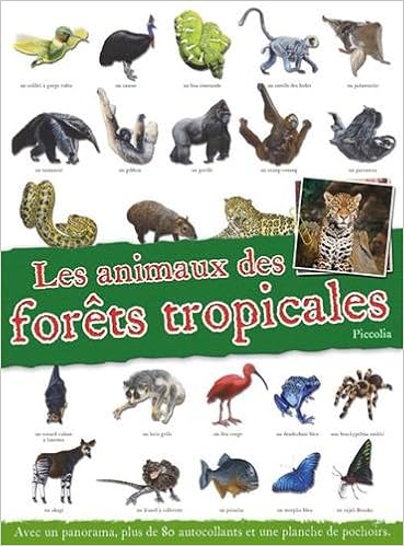 Les Animaux Des Forets Tropicales Amazon Com Books