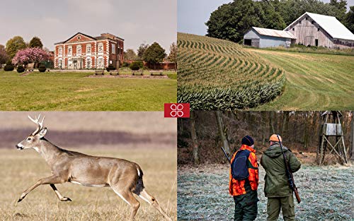Usogood Trail Game Camera with 32GB Memory Card 20MP 1080P Night Vision Hunting Camera Motion Activated IP66 Waterproof 2.4" LCD for Outdoor Wildlife, Garden, Animal Scouting and Security Surveillance - Thumbnail 7