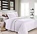 HOMFY Queen 100% Cotton Pillows for Sleeping, Set of Two Standard Premium Super Soft Bedding Pillow, Hypoallergenic, Anti Dust Mite and Mold & Mildew Resistant - White (White, Standard)