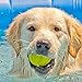 Hyper Pet Fetching Dog Toys - Throwing Ball Dog Toy Made with EVA Foam - Lightweight & Floats on Water,Green