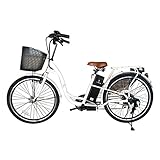 Biotechx Bicicleta Eléctrica 24V 250W