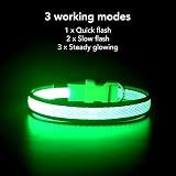 YFbrite Light Up Dog Collar Rechargeable LED Green Medium view 2