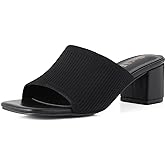 Shoe'N Tale Heeled Sandals For Women Square Open Toe Heeled Mules Chunky Block Low Heel Slip On Slides