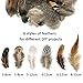Benvo 120 Pcs 6 Styles of Feathers Assorted Nature Chicken Feathers for Arts and Crafts Projects Dream Catcher Decoration Party Dress-ups Hanging Garlands