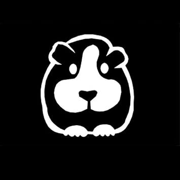 best soft food for dogs after dental surgery