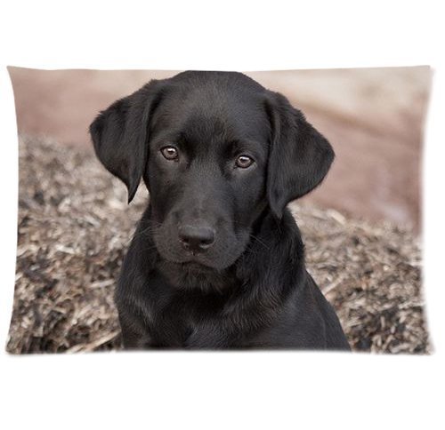 TSlook 60x80 Blankets Funny Black Labrador Retriever Dog Comfy Funny Bed Blanket