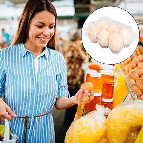 Luckgy 16pcs Pack Clear Plastic Egg Carton EcoFriendly Egg Tray Holder, Holds 6 Eggs Securely