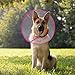 IN HAND Adjustable Recovery Dog Cone Cat Cone, Clear Padded ECollar with Breathable Soft Edge Plastic Soft Cone,Designed for Cats and Puppies