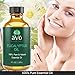 aVo Essentials Eucalyptus Essential Oil for Aromatherapy with Glass Dropper, 4 oz