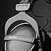 Beyerdynamic DT 770 Pro 80 ohm Limited Edition Professional Studio Headphones (Renewed)