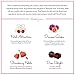 Bath Bombs Gift Set - Luxury Bath Fizzies - Lush Size 6 Ounce Natural Bath Balls - US Made - Love Bomb