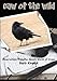 Caw of the Wild: Observations from the Secret World of Crows