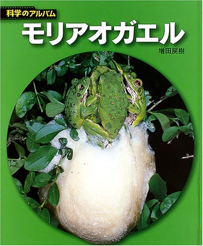 モリアオガエル 科学のアルバム 増田 戻樹 本 通販 Amazon