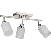 TODOLUZ Track Lighting Fixtures Ceiling, 3-Lights Brushed Nickel Wall Ceiling Spot Lighting with Opal White Glass, E26 Bulb B