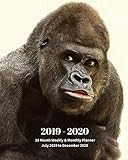 2019 - 2020 | 18 Month Weekly & Monthly Planner July 2019 to December 2020: Gorilla Animal Vol 35 Monthly Calendar with U.S./UK/ ... Holidays- Calendar in Review/Notes 8 x 10 in. by Dazzle Book Press