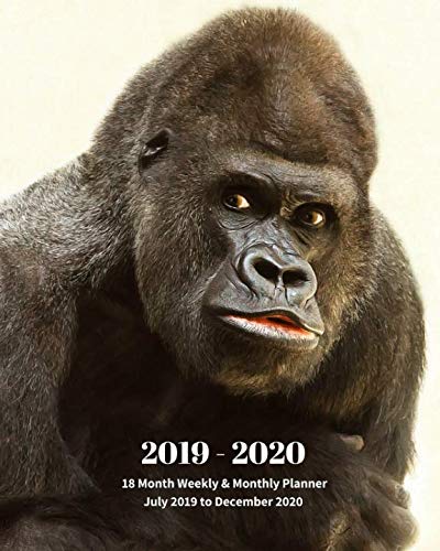 2019 - 2020 | 18 Month Weekly & Monthly Planner July 2019 to December 2020: Gorilla Animal Vol 35 Monthly Calendar with U.S./UK/ ... Holidays- Calendar in Review/Notes 8 x 10 in. by Dazzle Book Press