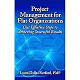 Project Management for Flat Organizations: Cost Effective Steps to Achieving Successful Results