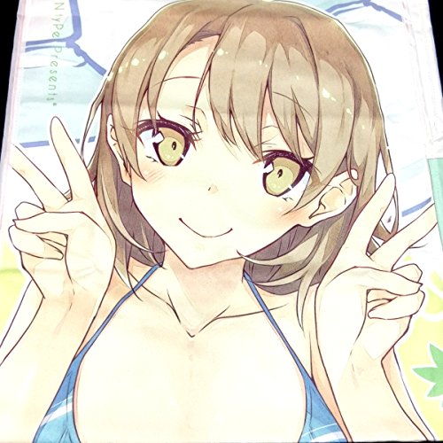 俺ガイル 一色いろは 水着 フード付きタオル Ntype 溝口ケージ あざとかわいい やはり俺の青春ラブコメはまちがっている グッズの買取価格 相場 高価買取なら買取一括比較のウリドキ