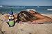 Avery Barn 10pc Neoprene Beer Bottle Sleeve Stretchy Insulated Sleeve Cover - Set 2: Summer Lovin