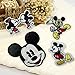 Disney Patches 16 Pcs Iron On Sewing Embroidered Patches for Clothing, Backpack, Cap, Jacket, Jeans
